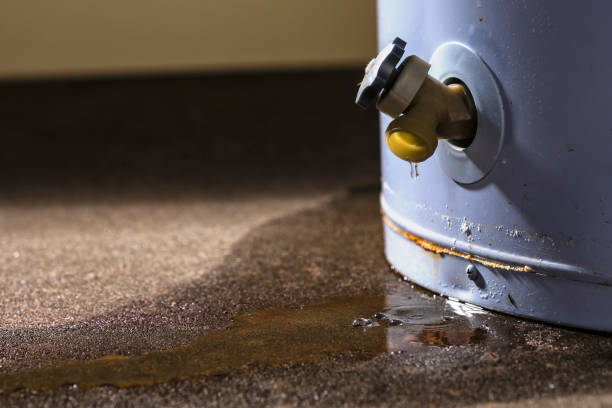 Best Residential water damage restoration  in Marshfield, WI