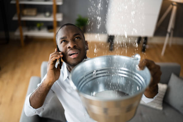 Best Basement water damage restoration  in Marshfield, WI