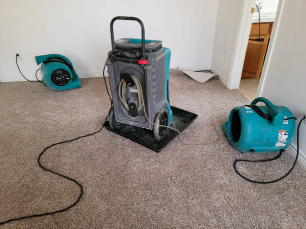 Best Water damage restoration near me  in Marshfield, WI