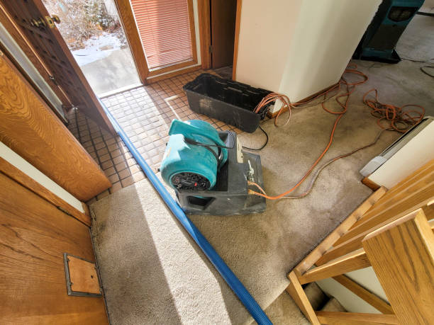 Best Water damage cleanup near me  in Marshfield, WI
