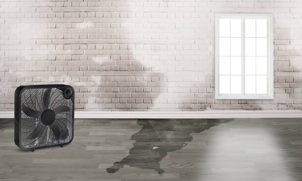 Water damage restoration mold remediation in Marshfield, WI