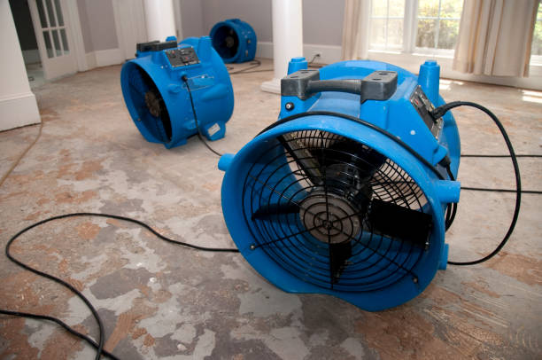 Best 24-hour water damage restoration  in Marshfield, WI