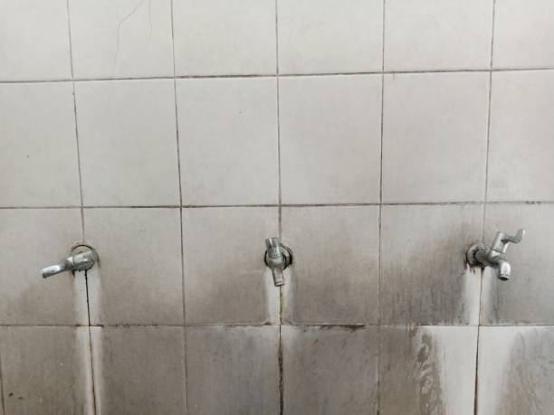  Marshfield, WI Water damage restoration Pros