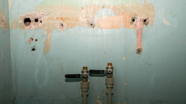 Best Carpet water damage restoration  in Marshfield, WI