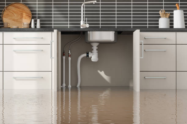 Best Water damage restoration near me  in Marshfield, WI