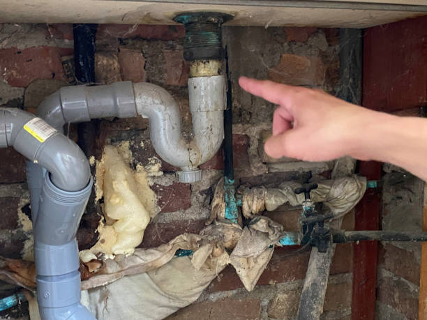 Best Fire Damage Restoration  in Marshfield, WI