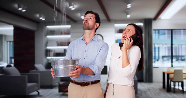 Best Water damage cleanup near me  in Marshfield, WI
