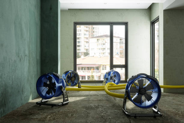 Best Water damage restoration near me  in Marshfield, WI