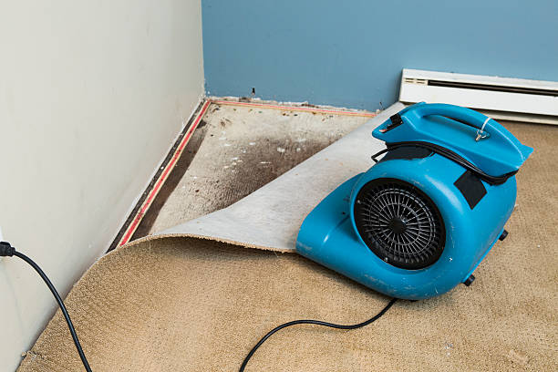Best Flood damage cleanup  in Marshfield, WI